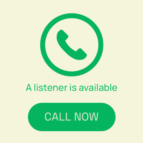 Homepage with the green Call Now button